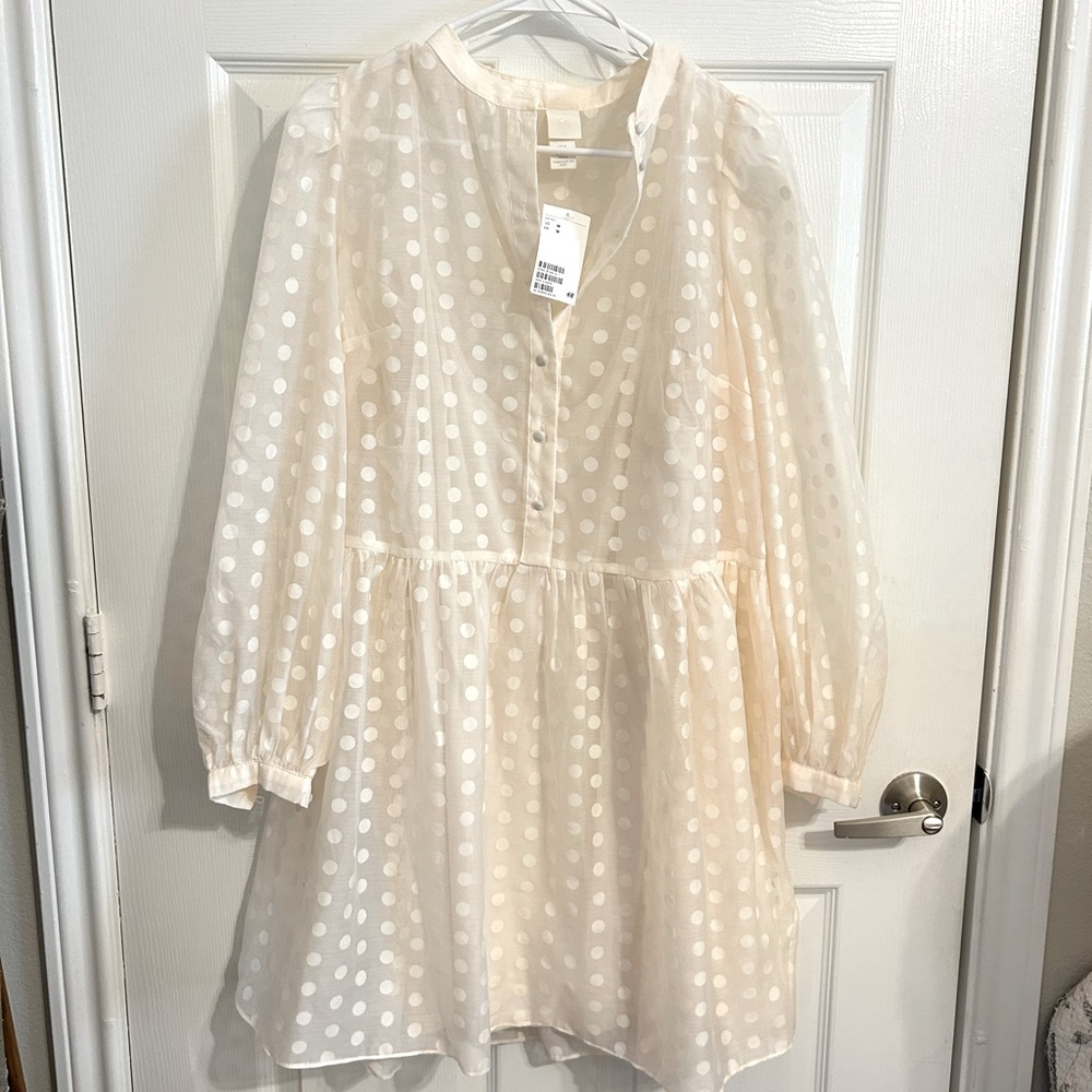 Medium sized sheer blush polka dot dress from H&M! Tag is still attached.